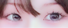 レビュー写真