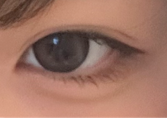 レビュー写真