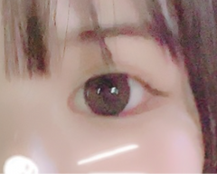 レビュー写真