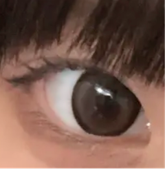 レビュー写真