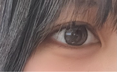 レビュー写真