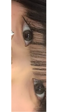 レビュー写真