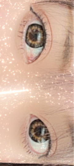 レビュー写真