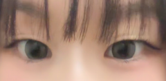 レビュー写真