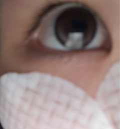 レビュー写真