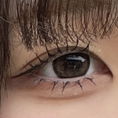 レビュー写真