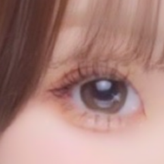 レビュー写真