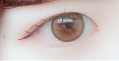 レビュー写真