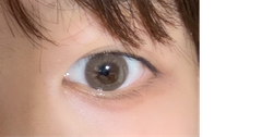 レビュー写真
