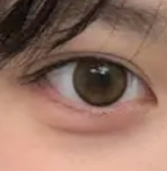 レビュー写真