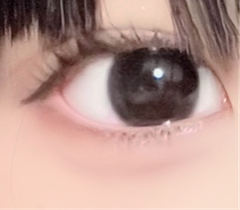 レビュー写真