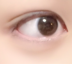 レビュー写真