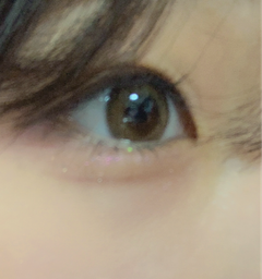 レビュー写真