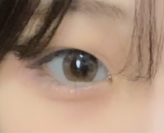 レビュー写真