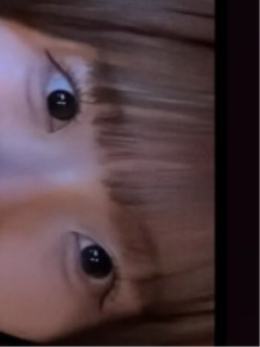 レビュー写真