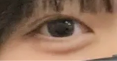 レビュー写真