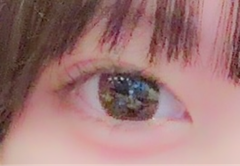 レビュー写真