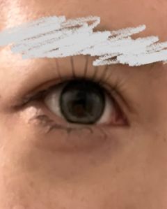 レビュー写真