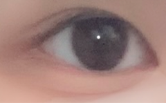 レビュー写真