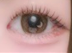 レビュー写真