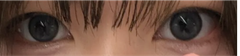 レビュー写真