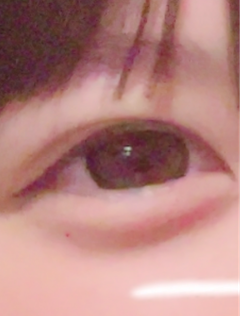レビュー写真