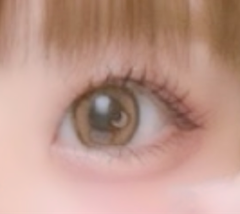 レビュー写真