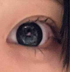 レビュー写真