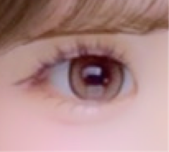 レビュー写真