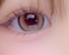 レビュー写真