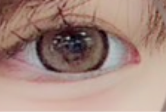レビュー写真