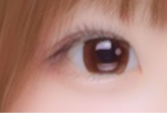 レビュー写真