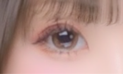 レビュー写真