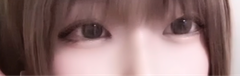 レビュー写真