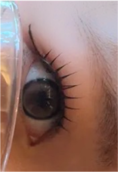 レビュー写真