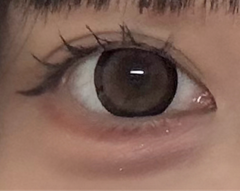 レビュー写真