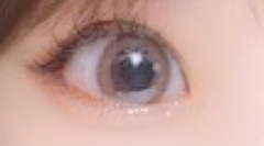 レビュー写真