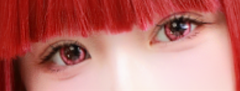 レビュー写真