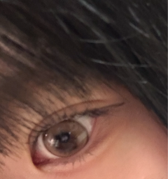 レビュー写真