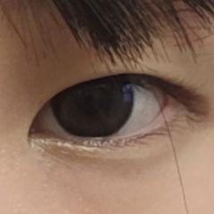 レビュー写真