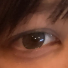 レビュー写真