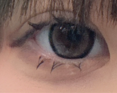 レビュー写真