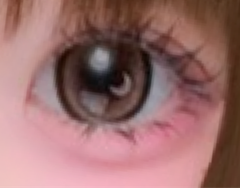 レビュー写真