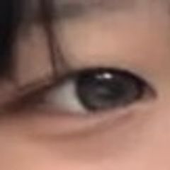 レビュー写真