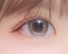 レビュー写真