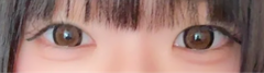 レビュー写真