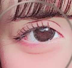 レビュー写真