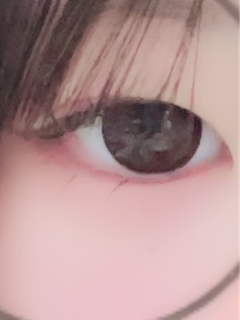 レビュー写真