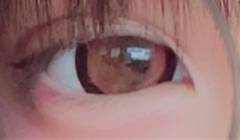 レビュー写真