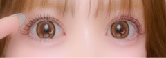 レビュー写真